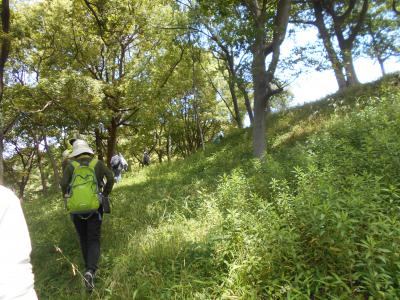 和歌山市加太付近で地形や植物観察