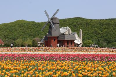 ここは天国？ユートピア？　チューリップの楽園　湧別町　　