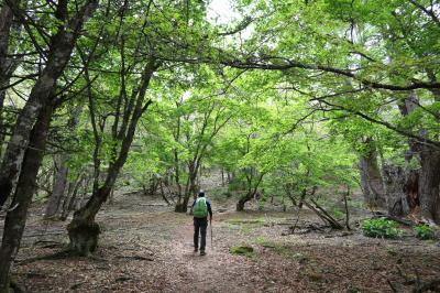 同級生と登る櫛形山　山梨県