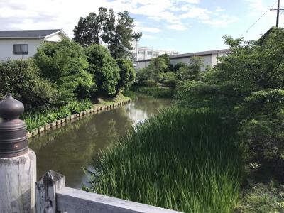 静岡県の城跡巡り：田中城跡（静岡県藤枝）、全国でも珍しい同心円状の縄張りの平城跡