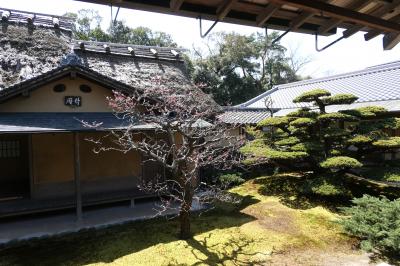 春のいざいざ奈良旅♪　Vol.199　大和郡山市：美しい庭園「慈光院」♪