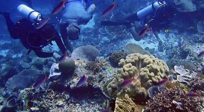 タイさんのインドネシアの旅33日目(2023/5/22) シュノーケリングツアー 、ラジャアンパット