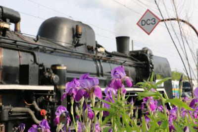 2023.5 秋田・青森・岩手　鉄道旅行