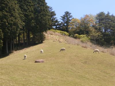 兵庫県の南側を巡ってみました。14六甲山の上にある市立六甲山牧場に行ってみました。