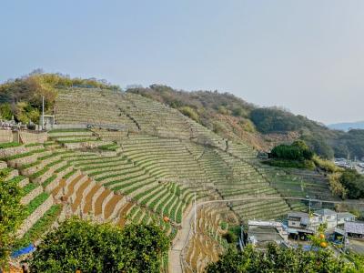 2泊3日 愛媛南予旅行 ◎3日目