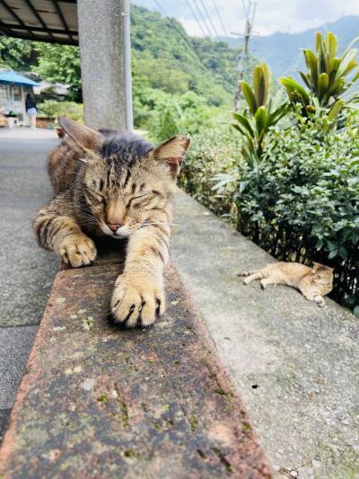 【台北】腹ごなしに気の向くままに歩く、ゆるっとゆるゆる～観光＆街歩き編