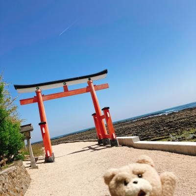 青島神社　鬼の洗濯岩　幸せの黄色いポスト　宮崎県　2023年