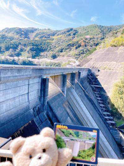 隠れた桜の名所をドライブ【都呂々ダム】トロロダム 熊本県　天草