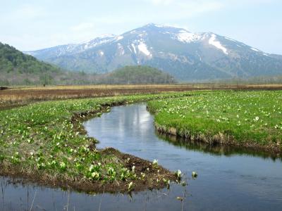 もう歩けるんじゃない？と行ってみた・尾瀬の旅③尾瀬ヶ原周回