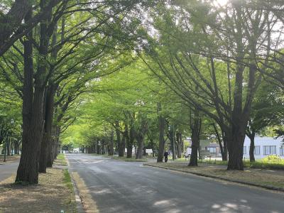 札幌、行っただけ記録