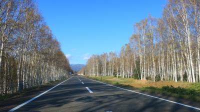 【北海道　白樺ロード】果てしなく続く白樺並木、ここが一番好き【2022北海道ドライブ5000km】