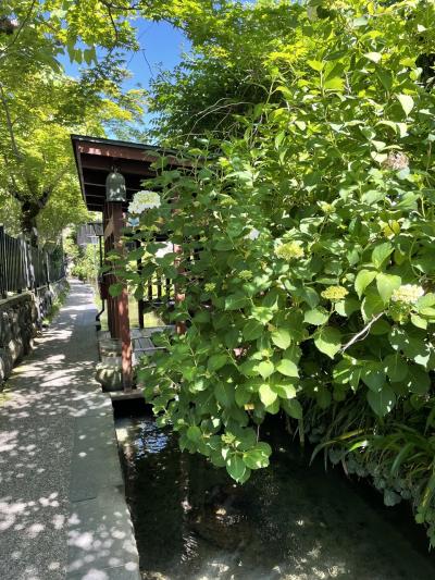 梅雨入り前にちょっとおでかけ - 清流と温泉と道の駅を楽しむ岐阜県の魅力発見- byひとりドライブ