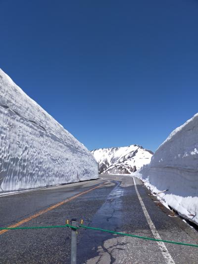 ☆ 立川 白川郷 黒部立山 2023年5月 雪の壁 ツアー ☆ 全国旅行支援割引 No. 2