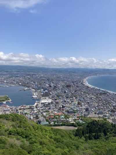 函館で五稜郭、函館山、海鮮丼など