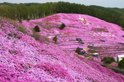 北海道大好き！２日目　知床五湖・ひがしもこと芝桜公園・層雲峡温泉