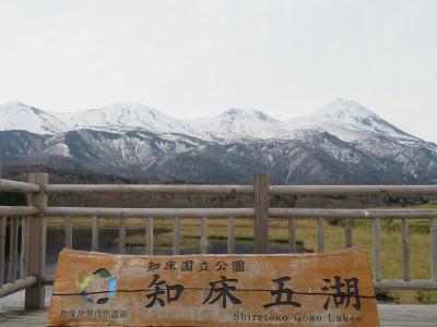 知床五湖ハイキング