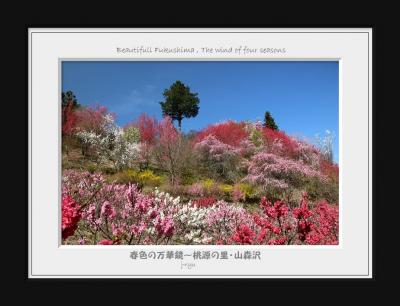 ◆春色の万華鏡～桃源の里&#127800;山森沢