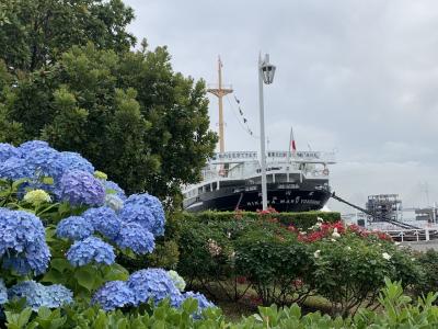 横浜フラワーとブラフ巡りの旅②　昭和の初めに使われていた回転扉~山下公園~氷川丸~水の守護神像~石のステージ~横浜山下公園通り~フランス橋