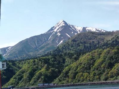 行きたかった礼文島、利尻島