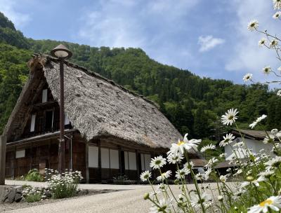 2023　午後休を取って氷見までひとっ走り♪全国旅行支援の旅☆富山