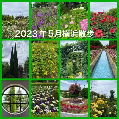 2023年5月横浜散歩