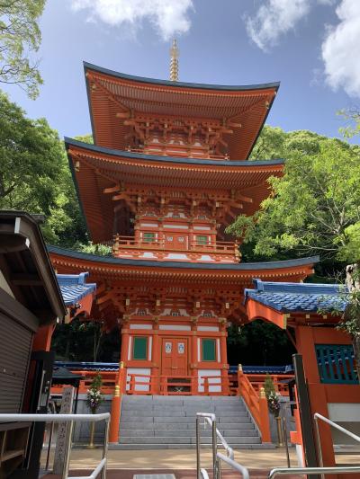 ひょうごさんぽ　　須磨を歩きます♪青もみじも美しい須磨寺へ。そしてあちこちに発見が。