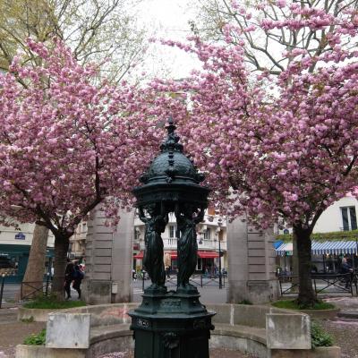 4月のパリ、花の都はリラ冷えの日々