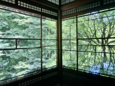 気持ちのいい初夏のある日の京都は青もみじが綺麗でした