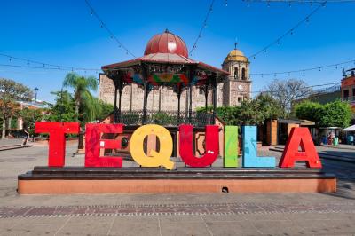 【2023年海外】GWメキシコ周遊 #06 テキーラ村1Dayトリップでテキーラ三昧