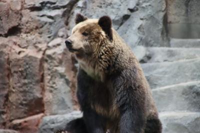 北海道大好き！３日目　銀河・流星の滝　旭山動物園　富良野