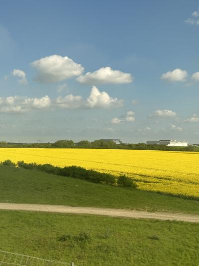 2023年GW アールヌーボーとステンドグラスと高いところを求めて④(Brussel-Pari移動編)