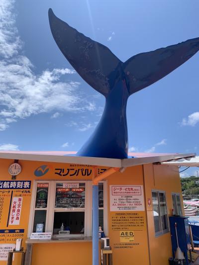 天空の宿山暖簾 壱岐島平山旅館 わくわく乗船券 行っとく長崎しまクーポン券 唐津シーサイドホテル 七ツ釜洞窟遊覧船 名護屋城 活烏賊！②