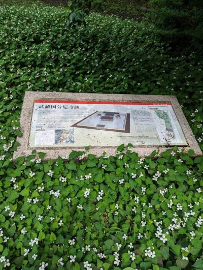 国分尼寺とその周辺