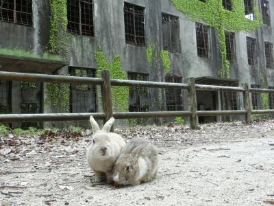 グルメとウサギまみれの初広島～光と闇の大久野島旅行記【5】