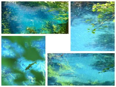 つんつん津軽に来てみたら～.①*神秘的な青の湖沼「青池」のコバルト・ブルーに魅せられて*