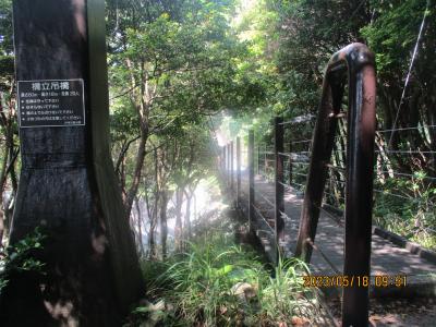 伊豆高原 城ケ崎海岸を歩く