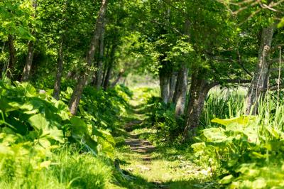釧路/根室/中標津ぐるり旅【4】～原始的な姿を残す日本最大の湿原～釧路湿原④（温根内ビジターセンター）