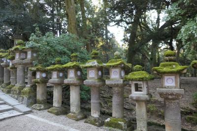 春のいざいざ奈良旅♪　Vol.259　奈良の美しい朝散歩：春日大社♪