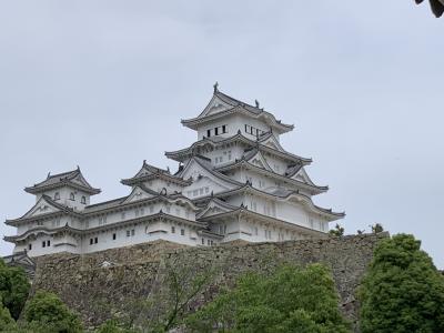 ひょうごさんぽ　　②姫路城たんけん♪　国宝　姫路城天守閣をめぐります。お城の維持に感嘆。