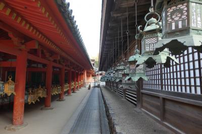 春のいざいざ奈良旅♪　Vol.267　奈良の美しい朝散歩：春日大社♪