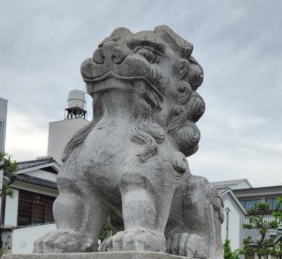 初夏の鎌倉　鶴岡八幡宮