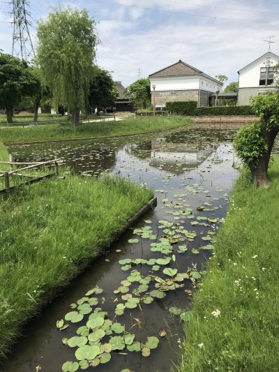 埼玉～東京　水辺の公園