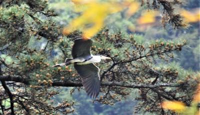 下部温泉を巡る旅 一般道をほとんど通らずに高速自動車道だけで下部温泉へ