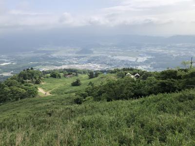 花の伊吹山に下から登ったけど次回は頂上まで車で行くよ。