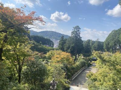 2022年10月西国三十三ヶ所の旅②　(10)三室戸寺、宇治平等院、萬福寺