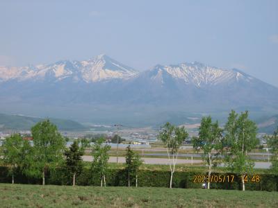 四度目の北海道旅行⑩富田ファーム訪問