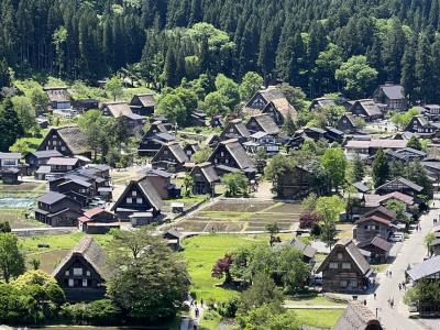 2023 白川郷、飛騨高山と郡上八幡城 外国人人気スポットを巡る日帰り旅