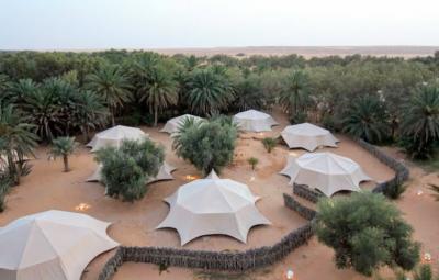 チュニジア大周遊 4日目 11/19日(土) ② トズール →ショット・エル・ジェリド→クサールギレン