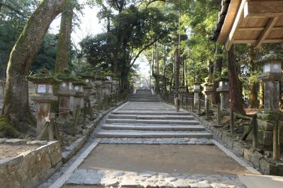 春のいざいざ奈良旅♪　Vol.274　奈良の美しい朝散歩：春日大社から若草山へ♪