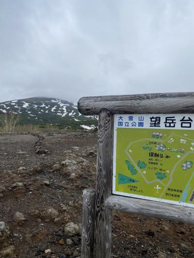 北海道の旅　その１　かれこれ10年ぶりの北海道旅行